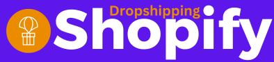 Dropshipping Shopify