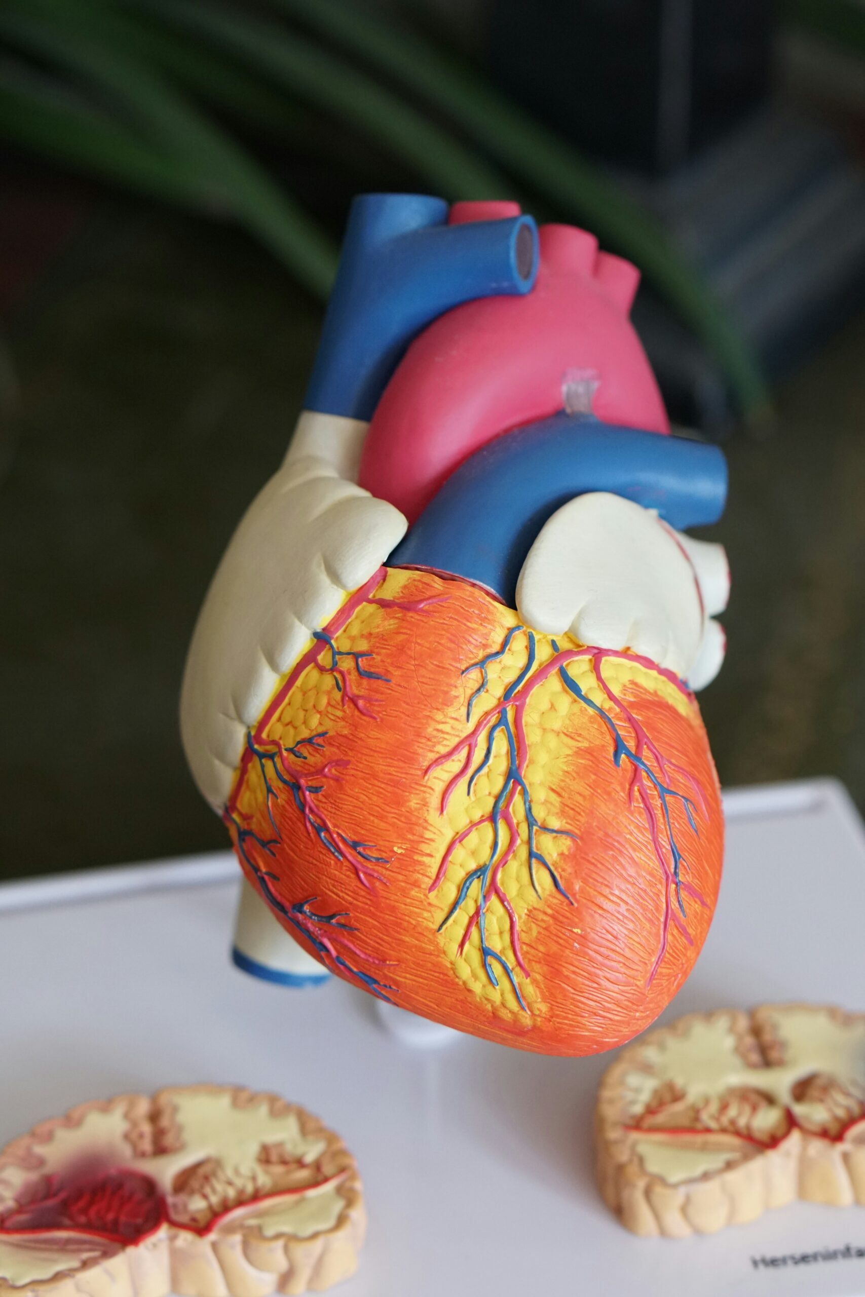Como o Sistema de Reputação de Vendedores no AliExpress Funciona 1 orange heart decor